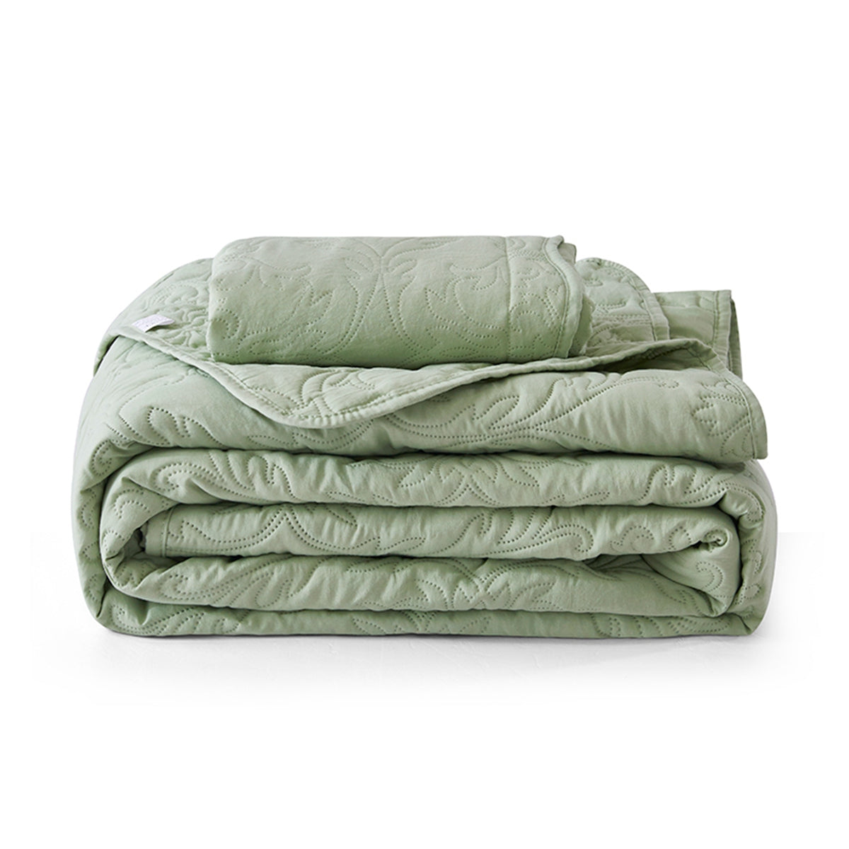 Light Green Embossed Patterns 3 Pieces Quilt Set with 2 Pillowcases