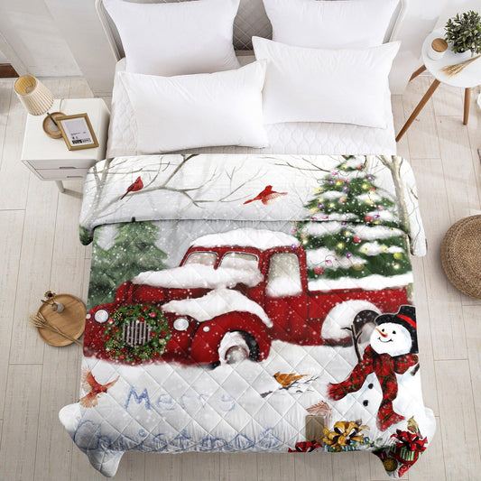 Christmas snowman car elements Quilt Set for all seasons - Wongs bedding
