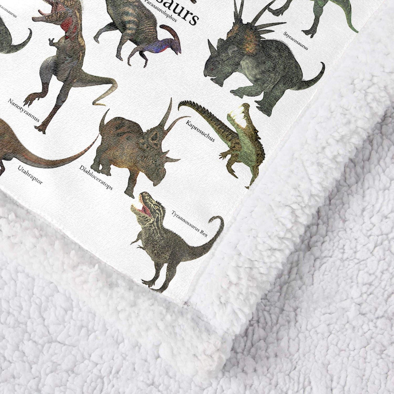 WONGS BEDDING Little dinosaur blanket bedroom living room decoration blanket - Wongs bedding