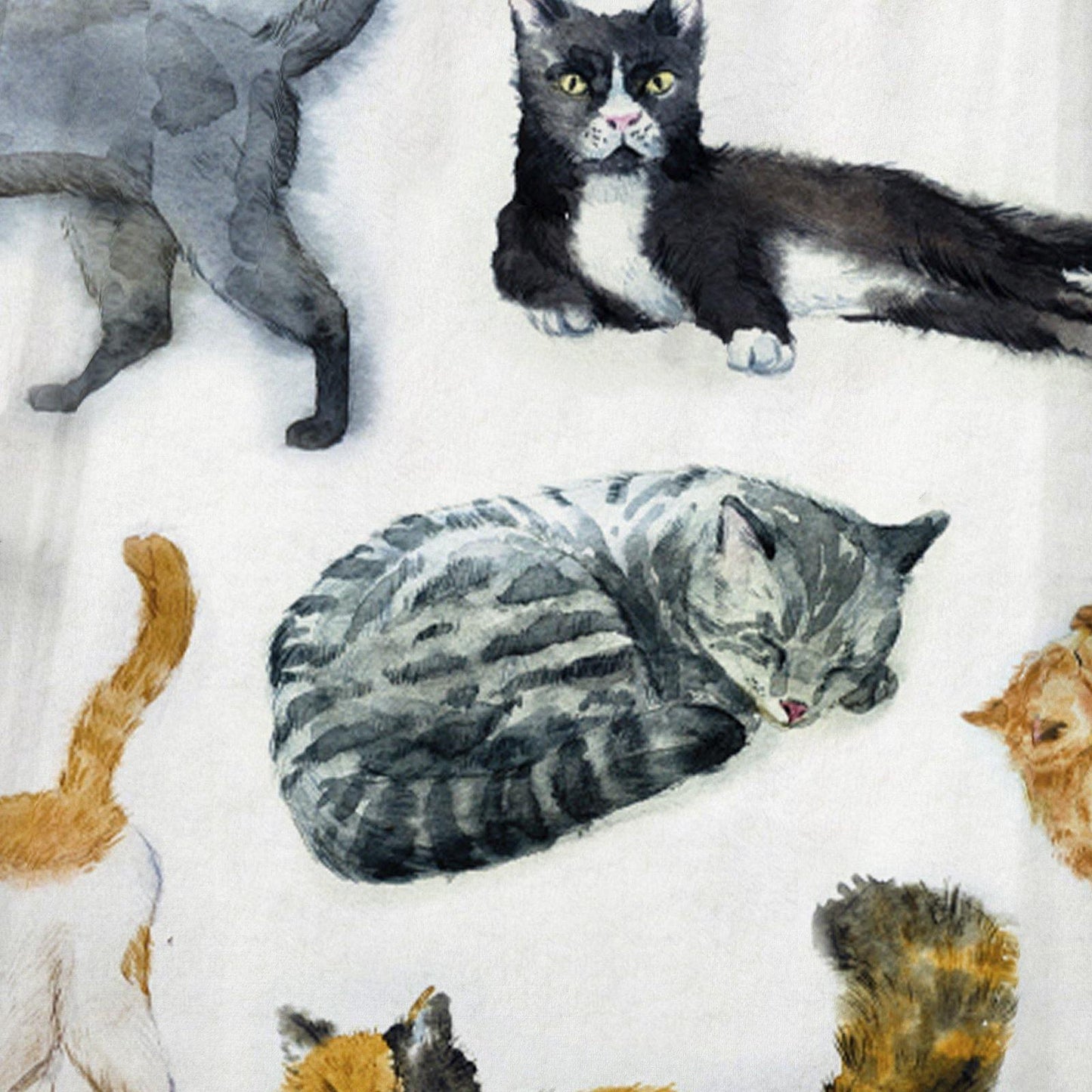 WONGS BEDDING Cat Atlas fleece blanket bedroom living room decoration blanket - Wongs bedding